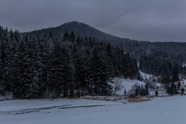 Thüringen Ormanı boyunca farklı yerlerde kış yürüyüşü - Almanya