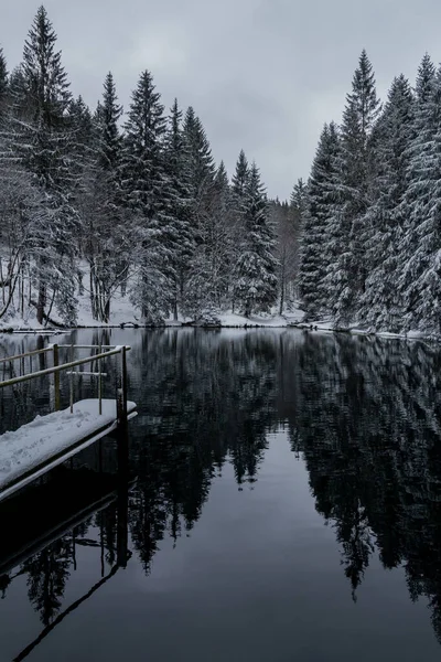 Caminhadas Inverno Diferentes Lugares Através Floresta Turíngia Alemanha — Fotografia de Stock