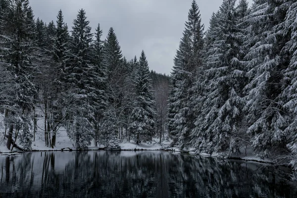 Thüringen Ormanı Boyunca Farklı Yerlerde Kış Yürüyüşü Almanya — Stok fotoğraf