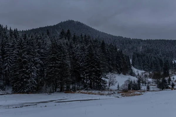 Thüringen Ormanı boyunca farklı yerlerde kış yürüyüşü - Almanya