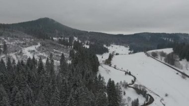 Thüringen Ormanı boyunca farklı yerlerde kış yürüyüşü - Almanya