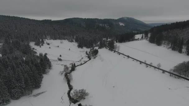 Randonnée hivernale dans différents endroits à travers la forêt de Thuringe - Allemagne — Video