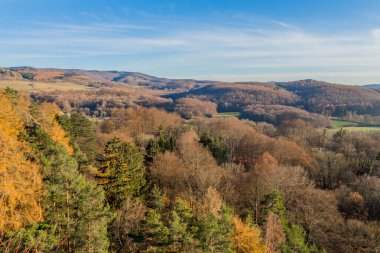 Thüringen Ormanı boyunca farklı yerlerde kış yürüyüşü - Almanya