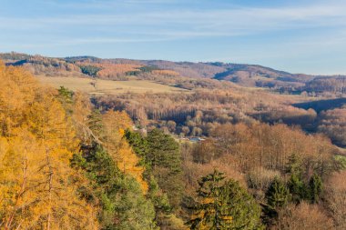 Thüringen Ormanı boyunca farklı yerlerde kış yürüyüşü - Almanya