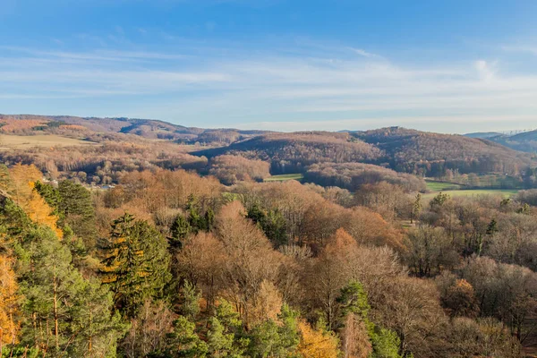 Thüringen Ormanı boyunca farklı yerlerde kış yürüyüşü - Almanya
