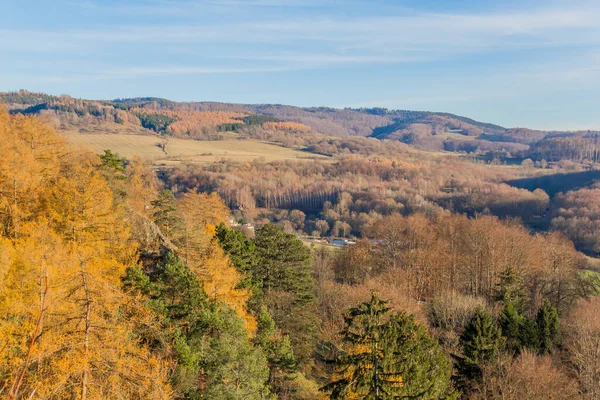 Thüringen Ormanı boyunca farklı yerlerde kış yürüyüşü - Almanya