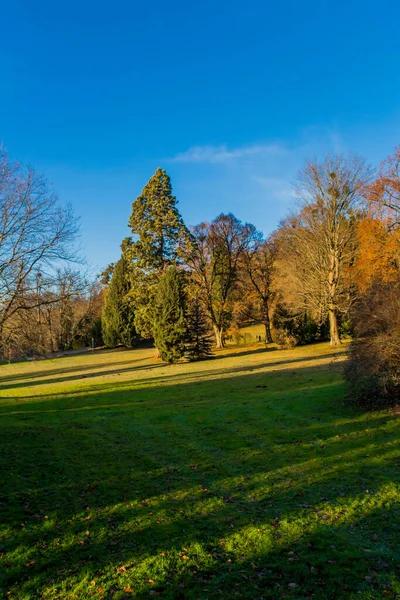 Invierno Senderismo Diferentes Lugares Través Del Bosque Turingia Alemania — Foto de Stock