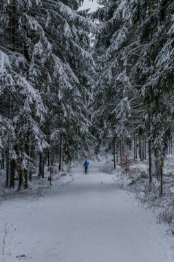 Thüringen Ormanı boyunca farklı yerlerde kış yürüyüşü - Almanya
