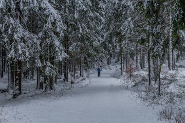 Thüringen Ormanı boyunca farklı yerlerde kış yürüyüşü - Almanya
