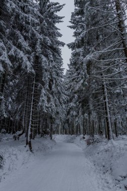 Thüringen Ormanı boyunca farklı yerlerde kış yürüyüşü - Almanya