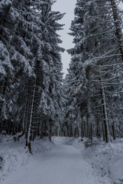Thüringen Ormanı boyunca farklı yerlerde kış yürüyüşü - Almanya