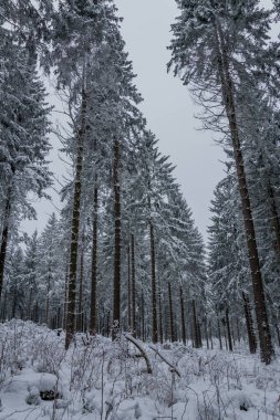 Thüringen Ormanı boyunca farklı yerlerde kış yürüyüşü - Almanya