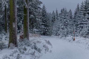 Thüringen Ormanı boyunca farklı yerlerde kış yürüyüşü - Almanya