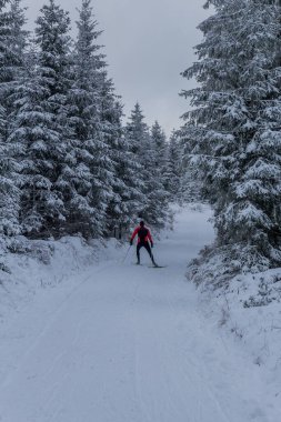 Thüringen Ormanı boyunca farklı yerlerde kış yürüyüşü - Almanya