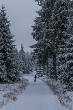 Thüringen Ormanı boyunca farklı yerlerde kış yürüyüşü - Almanya