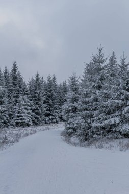 Thüringen Ormanı boyunca farklı yerlerde kış yürüyüşü - Almanya