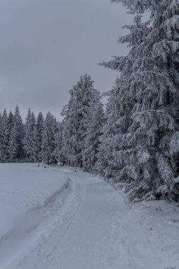 Thüringen Ormanı boyunca farklı yerlerde kış yürüyüşü - Almanya