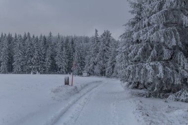 Thüringen Ormanı boyunca farklı yerlerde kış yürüyüşü - Almanya