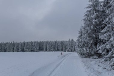 Thüringen Ormanı boyunca farklı yerlerde kış yürüyüşü - Almanya
