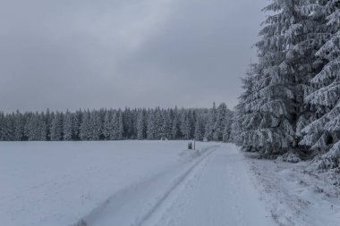 Thüringen Ormanı boyunca farklı yerlerde kış yürüyüşü - Almanya