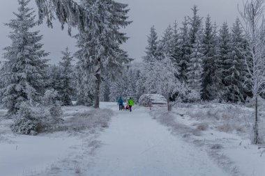 Thüringen Ormanı boyunca farklı yerlerde kış yürüyüşü - Almanya