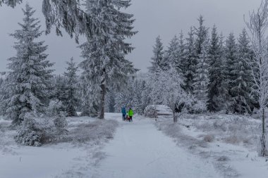 Thüringen Ormanı boyunca farklı yerlerde kış yürüyüşü - Almanya
