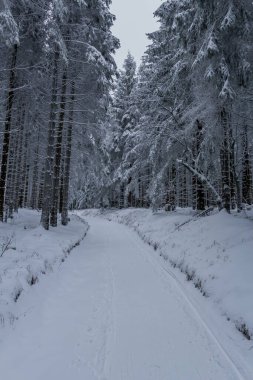 Thüringen Ormanı boyunca farklı yerlerde kış yürüyüşü - Almanya