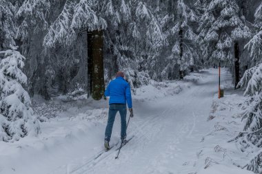 Thüringen Ormanı boyunca farklı yerlerde kış yürüyüşü - Almanya