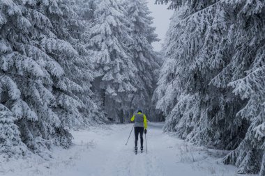Thüringen Ormanı boyunca farklı yerlerde kış yürüyüşü - Almanya