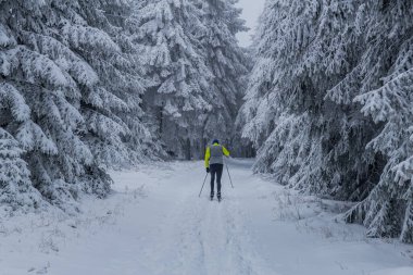 Thüringen Ormanı boyunca farklı yerlerde kış yürüyüşü - Almanya