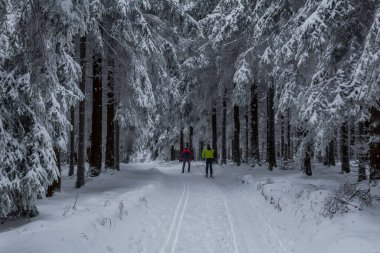 Thüringen Ormanı boyunca farklı yerlerde kış yürüyüşü - Almanya