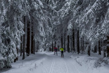 Thüringen Ormanı boyunca farklı yerlerde kış yürüyüşü - Almanya