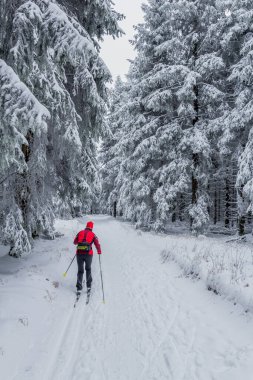 Thüringen Ormanı boyunca farklı yerlerde kış yürüyüşü - Almanya
