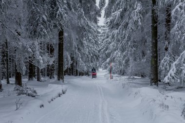 Thüringen Ormanı boyunca farklı yerlerde kış yürüyüşü - Almanya