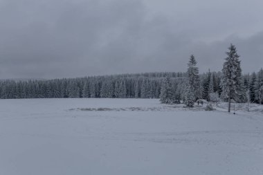Thüringen Ormanı boyunca farklı yerlerde kış yürüyüşü - Almanya