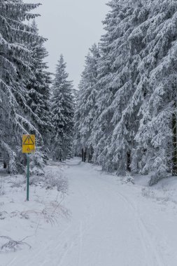 Thüringen Ormanı boyunca farklı yerlerde kış yürüyüşü - Almanya