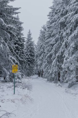 Thüringen Ormanı boyunca farklı yerlerde kış yürüyüşü - Almanya