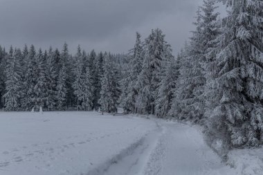 Thüringen Ormanı boyunca farklı yerlerde kış yürüyüşü - Almanya