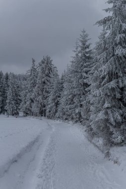 Thüringen Ormanı boyunca farklı yerlerde kış yürüyüşü - Almanya