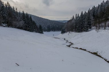 Thüringen Ormanı boyunca farklı yerlerde kış yürüyüşü - Almanya