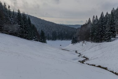 Thüringen Ormanı boyunca farklı yerlerde kış yürüyüşü - Almanya