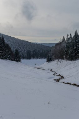Thüringen Ormanı boyunca farklı yerlerde kış yürüyüşü - Almanya