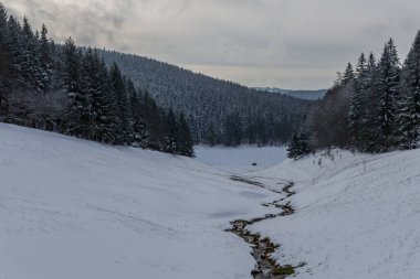 Thüringen Ormanı boyunca farklı yerlerde kış yürüyüşü - Almanya
