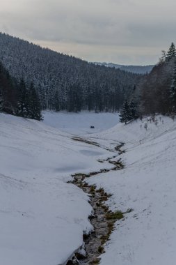 Thüringen Ormanı boyunca farklı yerlerde kış yürüyüşü - Almanya