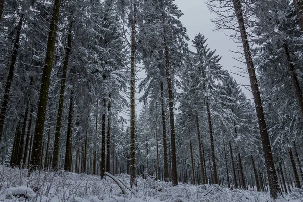 Invierno Senderismo Diferentes Lugares Través Del Bosque Turingia Alemania —  Fotos de Stock