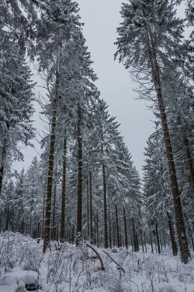 Invierno Senderismo Diferentes Lugares Través Del Bosque Turingia Alemania —  Fotos de Stock