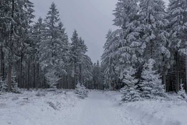 Winterwandelen Verschillende Plaatsen Door Het Thüringer Woud Duitsland — Stockfoto