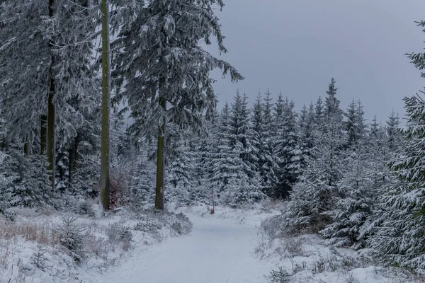 Caminhadas Inverno Diferentes Lugares Através Floresta Turíngia Alemanha — Fotografia de Stock