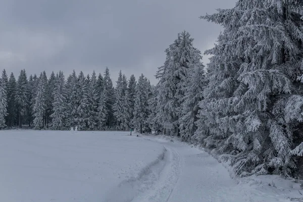 Caminhadas Inverno Diferentes Lugares Através Floresta Turíngia Alemanha — Fotografia de Stock