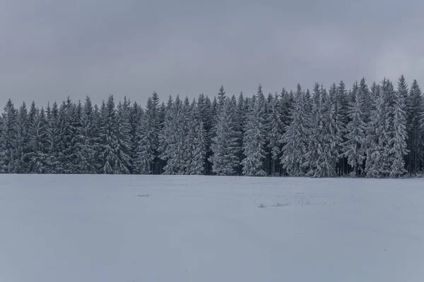 Winterwandern Verschiedenen Orten Durch Den Thüringer Wald Deutschland — Stockfoto